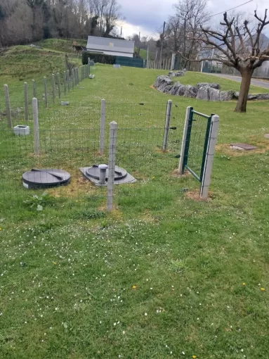 Pelouse avant travaux.