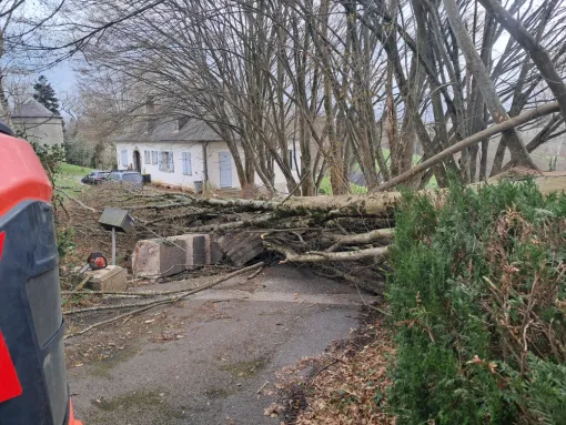 Avant notre intervention.