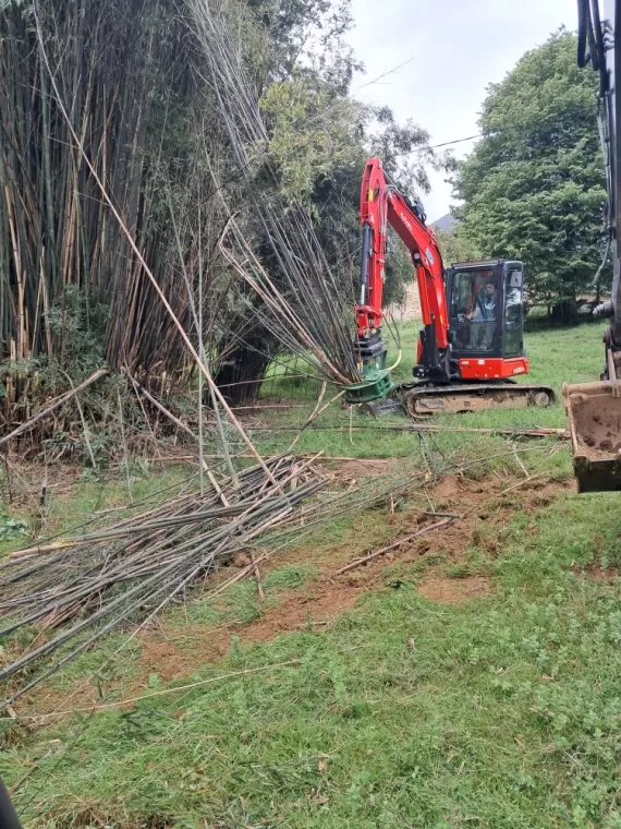 Abattage au grappin coupeur.