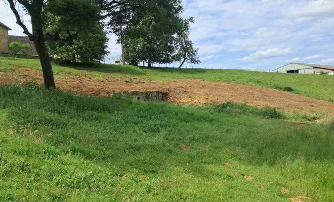 Remise en état du terrain après dessouchage.