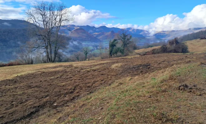 Remise en état de la prairie.