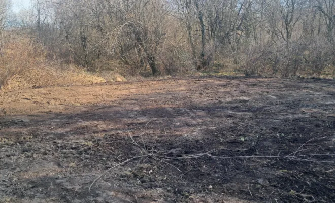 Remise en état de la zone de dépose.