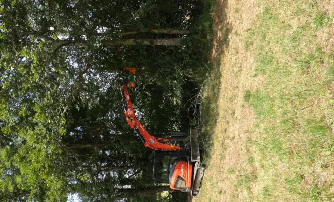 Travaux d'élagage mécanisé, Ogeu-les-Bains, MBTP